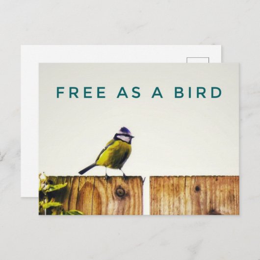 Free as a Bird Postcard Briefkaart (Voorkant / Achterkant)