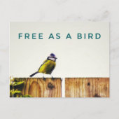 Free as a Bird Postcard Briefkaart (Voorkant)