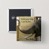 Free Billy-The Elephabt_ Button (Voorkant /achterkant)