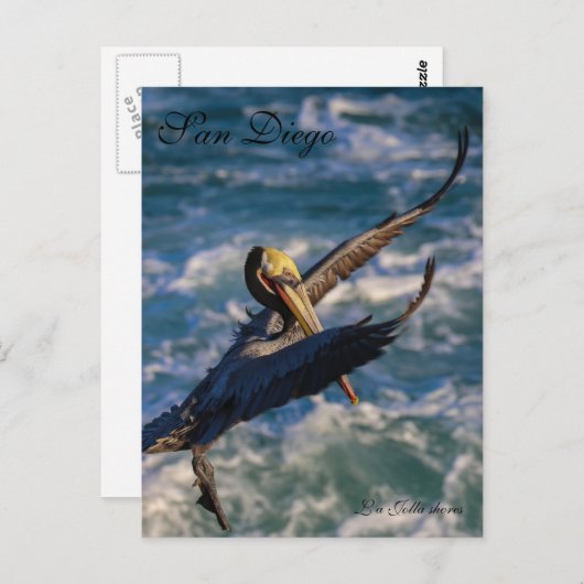 Free Bird Briefkaart (Voorkant / Achterkant)