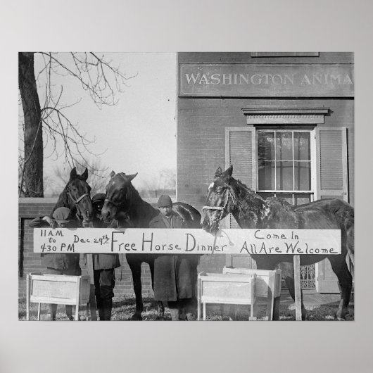 Free Dinner for Horses, 1923.  foto Poster (Voorkant)