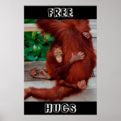 Free Hugs Borneo orangutan Poster (Voorkant)