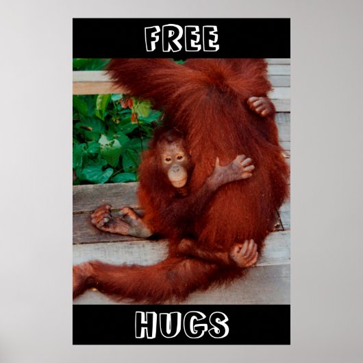 Free Hugs Borneo orangutan Poster (Voorkant)