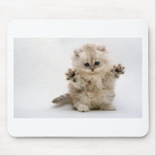 Free Hugs Kitten Muismat