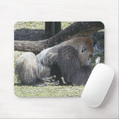 Free Poker Lessons Muismat (Met muis)