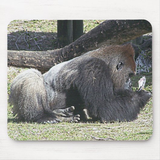 Free Poker Lessons Muismat (Voorkant)