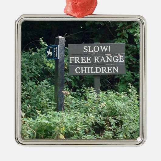 Free Range Children-teken, leuk Metalen Ornament (Voorkant)