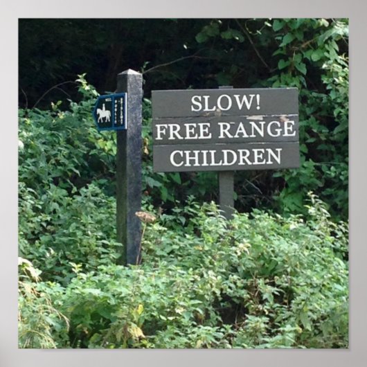 Free Range Children-teken, leuk Poster (Voorkant)