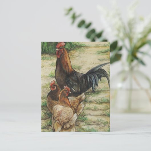 "Free Range" Rooster & 2 Hens Postcard Briefkaart (Staand voorkant)