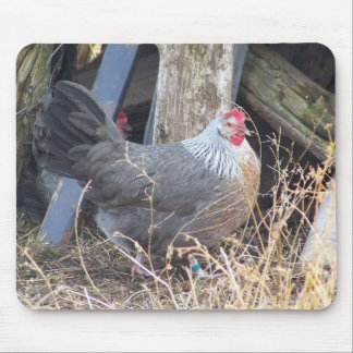 Free Range Silver Gray Dorking Hen Muismat