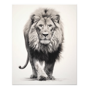 Free Spirit Lion Zwart-wit Foto Afdruk