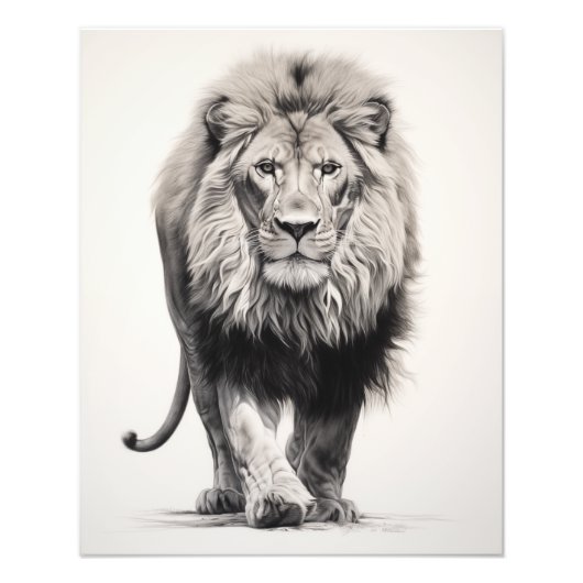 Free Spirit Lion Zwart-wit Foto Afdruk (Voorkant)