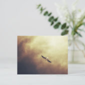 "Free Spirit" Zuid-Afrikaans Briefkaart van wilde (Staand voorkant)