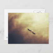 "Free Spirit" Zuid-Afrikaans Briefkaart van wilde (Voorkant / Achterkant)