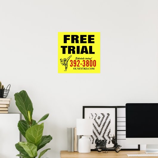 Free Trial karate poster (Thuiskantoor)