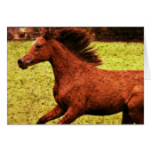 Freedom (Voorkant Horizontaal)