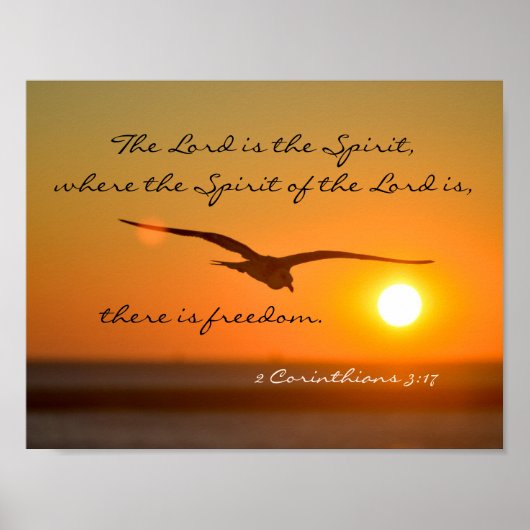 Freedom Bible Verse, vogelvlucht op zonsondergang Poster (Voorkant)