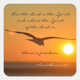 Freedom Bible Verse, vogelvlucht op zonsondergang Vierkante Sticker