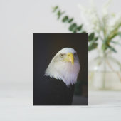 Freedom Briefkaart (Staand voorkant)