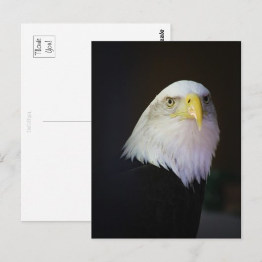 Freedom Briefkaart (Voorkant / Achterkant)