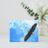 Freedom Eagle vliegt in de lucht Briefkaart (Staand voorkant)