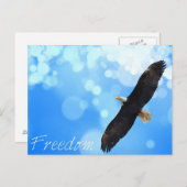 Freedom Eagle vliegt in de lucht Briefkaart (Voorkant / Achterkant)