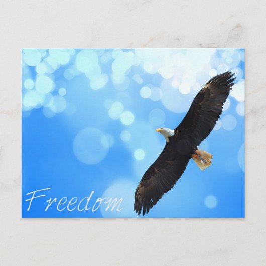 Freedom Eagle vliegt in de lucht Briefkaart (Voorkant)