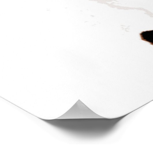 Freedom Eagles afdrukken Poster (Hoek)