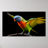 🌈 Freedom Flight Lorikeet - Dynamic Rainbow Poster (Voorkant)