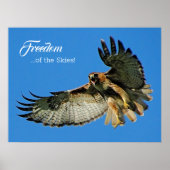 Freedom of the Skies Red-tailed Hawk Poster (Voorkant)