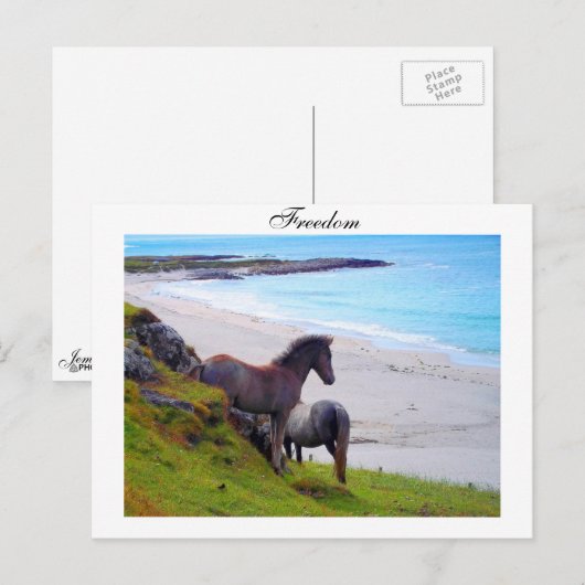 Freedom - Postcard Briefkaart (Voorkant / Achterkant)