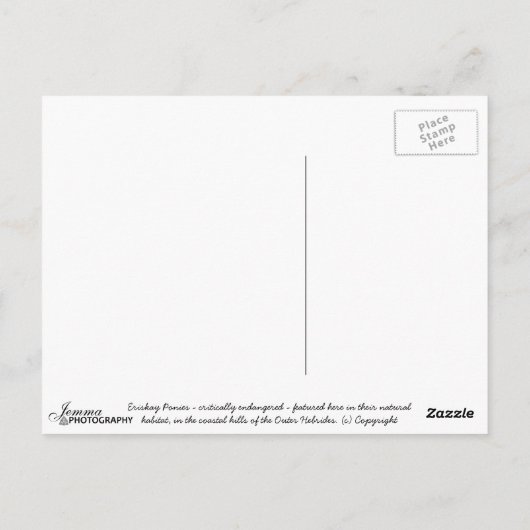 Freedom - Postcard Briefkaart (Achterkant)