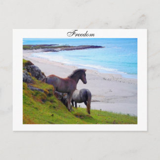 Freedom - Postcard Briefkaart