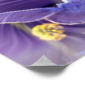 Freedom Poster (Hoek)