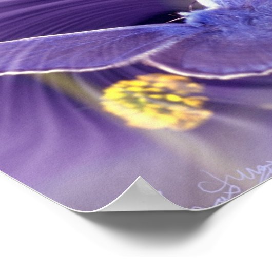 Freedom Poster (Hoek)