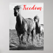 Freedom Red Black White-looppaarden Poster (Voorkant)