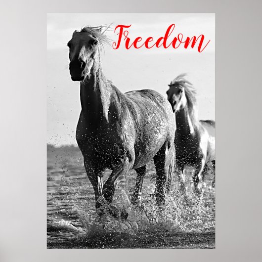 Freedom Red Black White-looppaarden Poster (Voorkant)