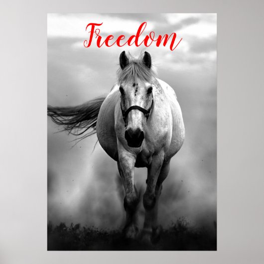 Freedom Red Black White-looppaarden Poster (Voorkant)