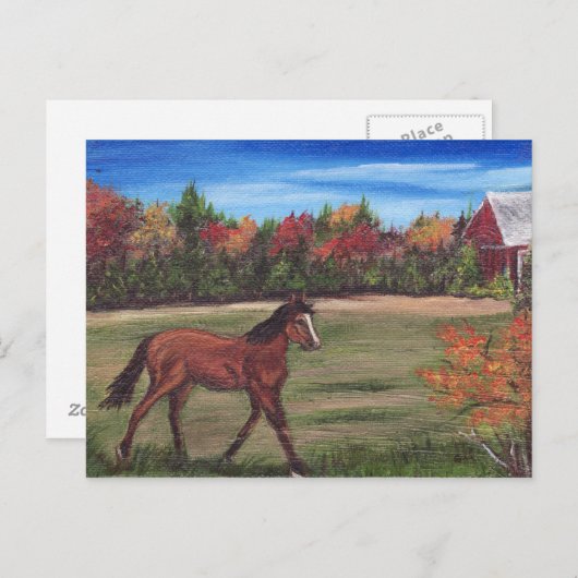 Freedom run Briefkaart (Voorkant / Achterkant)