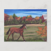 Freedom run Briefkaart (Voorkant)