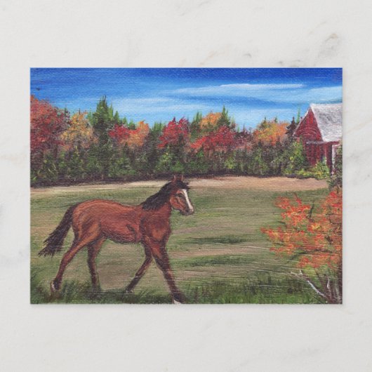 Freedom run Briefkaart (Voorkant)