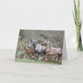 Freedom Run II: Gegroet voor vrijheid Kaart