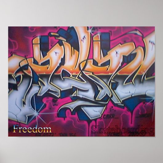 Freedom Skateboarding Poster #2 (Voorkant)