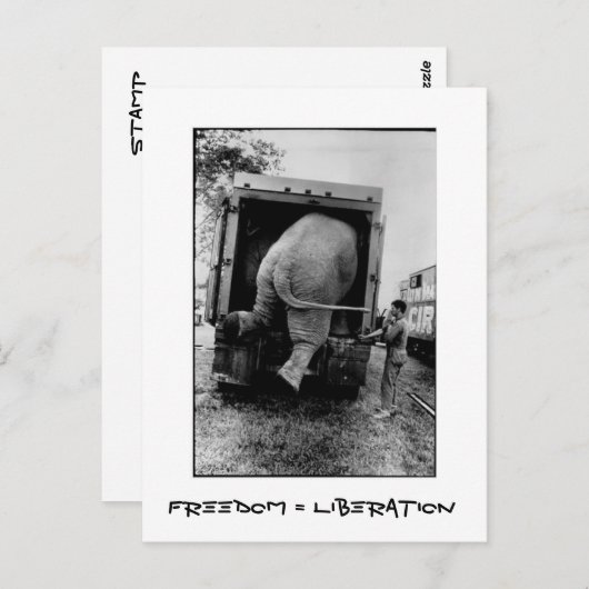 Freedom = Vrijheid Briefkaart (Voorkant / Achterkant)