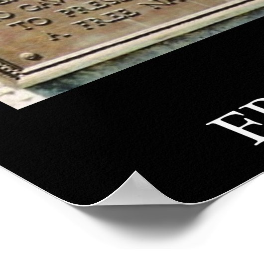 FREEDOM WON POSTER (Hoek)