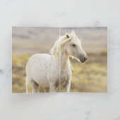 Freedom's Call Wild Horse Wenskaart Kaart (Binnen)