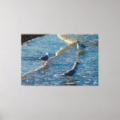 Freeland Muiteringsbaai #1 Canvas Afdruk (Voorkant)