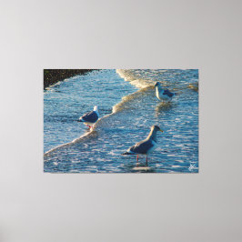 Freeland Muiteringsbaai #1 Canvas Afdruk