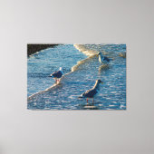 Freeland Mutiny Bay #1 Canvas Afdruk (Voorkant)