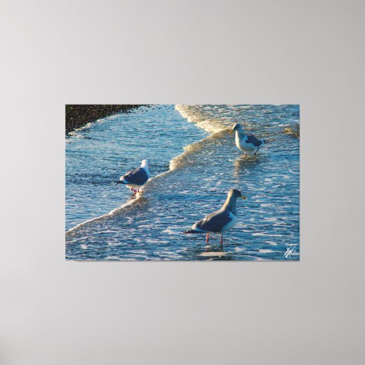 Freeland Mutiny Bay #1 Canvas Afdruk (Voorkant)